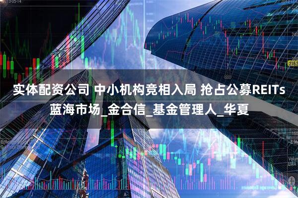 实体配资公司 中小机构竞相入局 抢占公募REITs蓝海市场_金合信_基金管理人_华夏